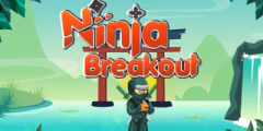 Ninja Breakout Brick Shooter Game oyna
