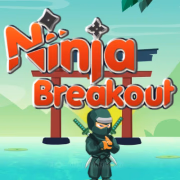 玩 Ninja Breakout Brick Shooter Game