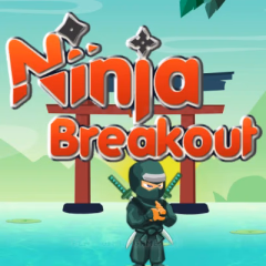 Ninja Breakout Brick Shooter Game