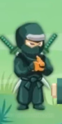 玩 Ninja Breakout Brick Shooter Game