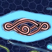 jugar Gulper .io