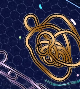 Imagens de jogabilidade GULPER.IO 1