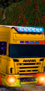 jouer Cargo Truck simulator 2025
