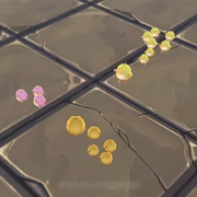 遊ぶ Hury.io
