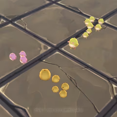 main Hury .io
