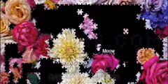 spielen Jigsaw Puzzles io
