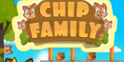  Chip Family 