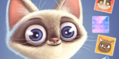 spielen Kitten Match