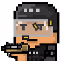POLYGUNS IO